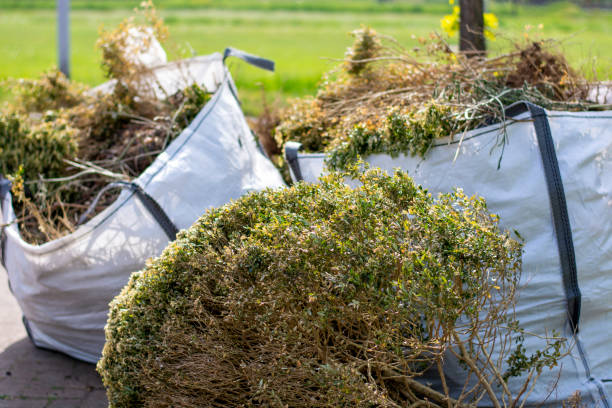 Yard Cleanup Services in Park City, IL